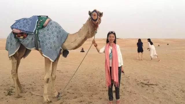 中春风情之旅&mdash;&mdash;&ldquo;巅峰国际网站世纪城感恩回馈业主迪拜行&rdquo;活动圆满竣事