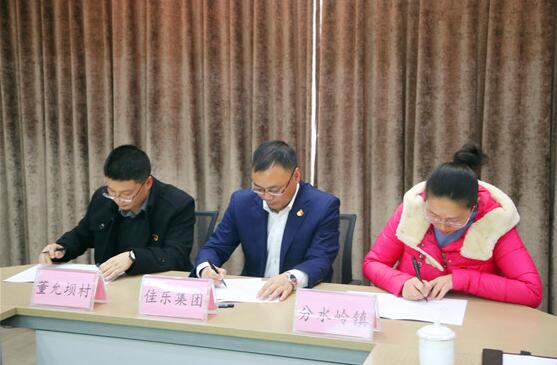 巅峰国际网站集团&ldquo;两新联千村&middot;党建助振兴&rdquo;行动结对签约仪式圆满举行